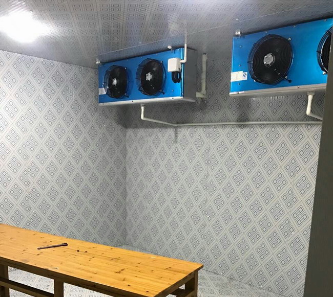 重慶醫(yī)院凍庫 雙機(jī)組